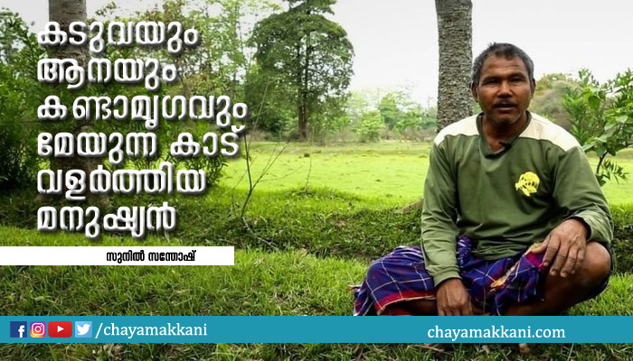കടുവയും ആനയും കണ്ടാമൃഗവും മേയുന്ന കാട് നട്ടുവളർത്തിയ മനുഷ്യൻ കടുവയും ആനയും കണ്ടാമൃഗവും മേയുന്ന കാട് നട്ടുവളർത്തിയ മനുഷ്യൻ