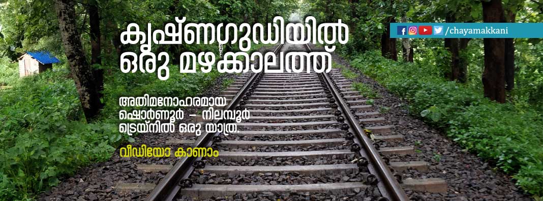 കൃഷ്ണഗുഡിയില് ഒരു മഴക്കാലത്ത് കൃഷ്ണഗുഡിയില് ഒരു മഴക്കാലത്ത്