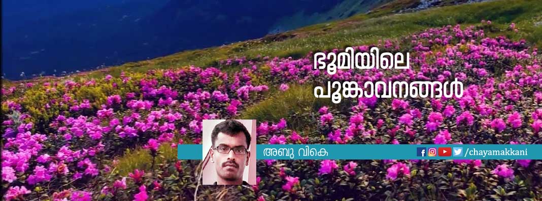 ഭൂമിയിലെ പൂങ്കാവനങ്ങള് ഭൂമിയിലെ പൂങ്കാവനങ്ങള്