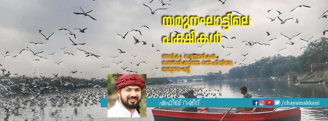 യമുനഘാട്ടിലെ പക്ഷികള് യമുനഘാട്ടിലെ പക്ഷികള്