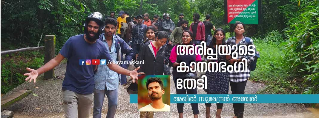 അരിപ്പയുടെ കാനനഭംഗി തേടി